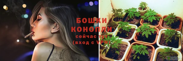хмурый Бородино