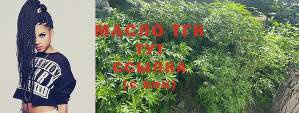 хмурый Бородино