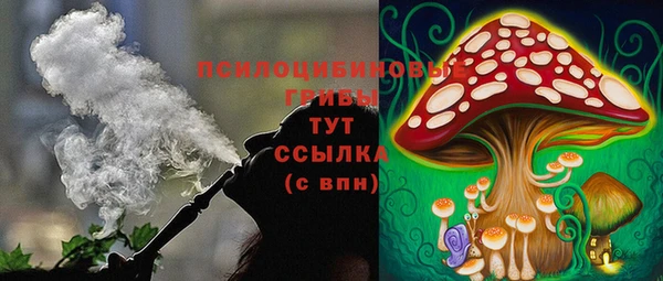 хмурый Бородино