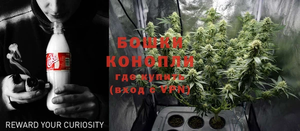 хмурый Бородино
