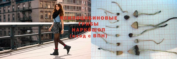 хмурый Бородино