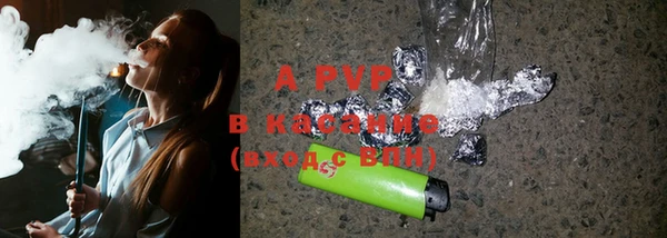 хмурый Бородино