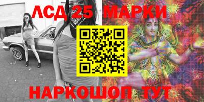 гашик Берёзовский