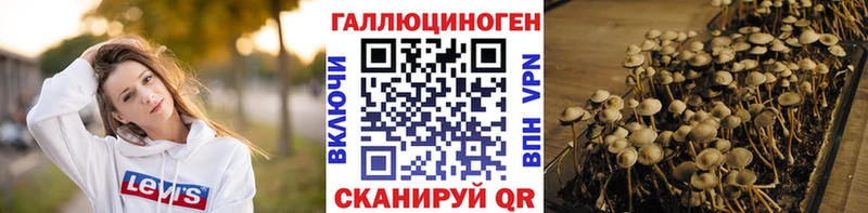 нарко площадка телеграм  Бугульма  Псилоцибиновые грибы мухоморы  купить наркотик 