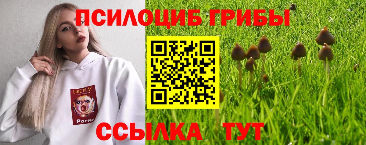 Галлюциногенные грибы мицелий  Вход с VPN  как найти наркотики  Бугульма 