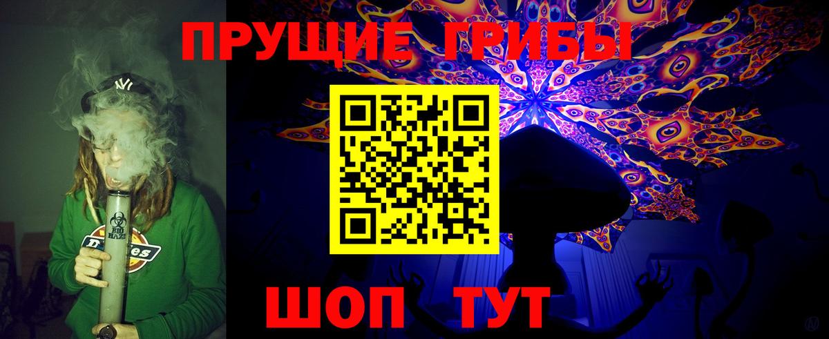 Псилоцибиновые грибы Psilocybe Бугульма